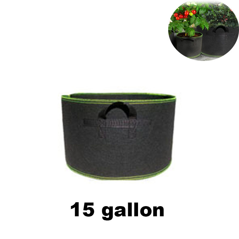 gallon silicone bolsa